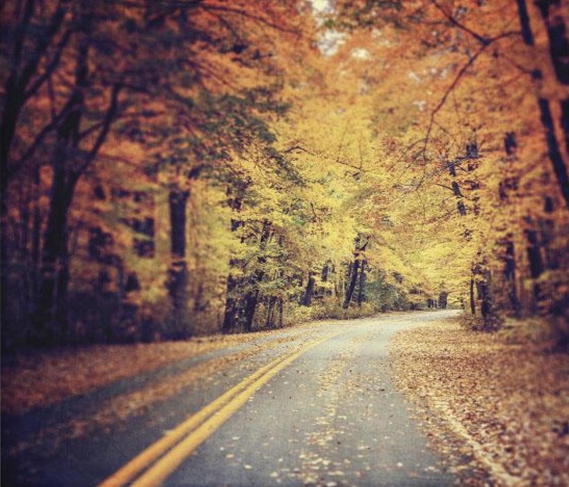 October is Fall Car Care Month